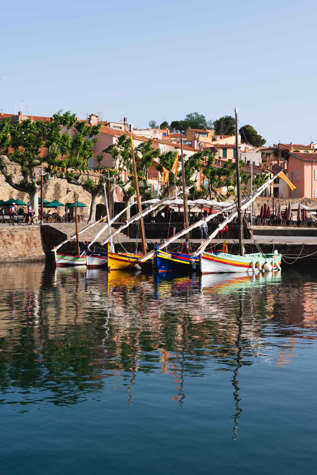 Five Catalan boats moored in Collioure, France