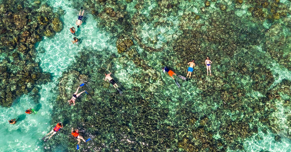 aerial view of several snorkelers and swimmers in shallow waters of Phu Quoc