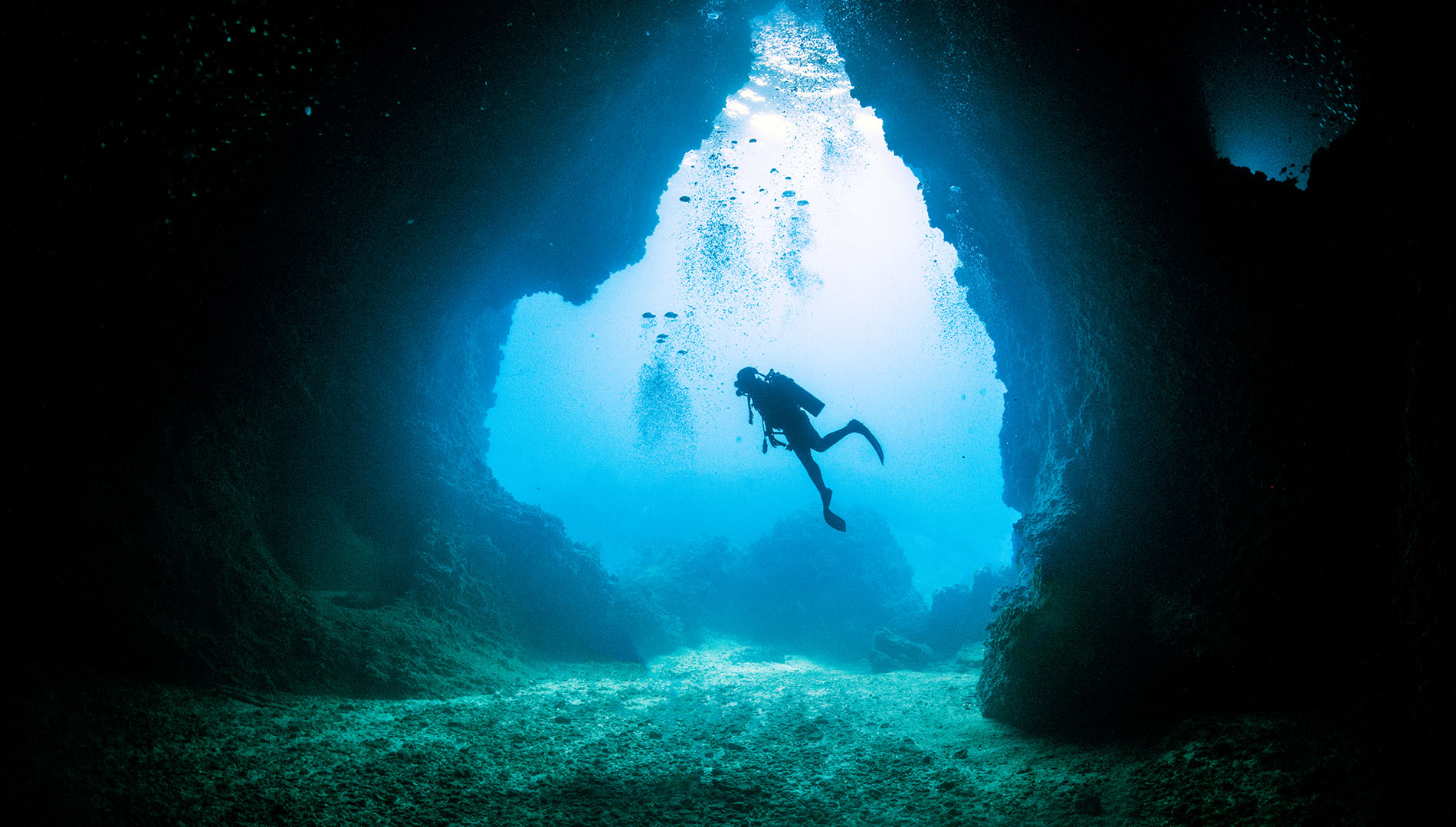 A scuba diver in the water