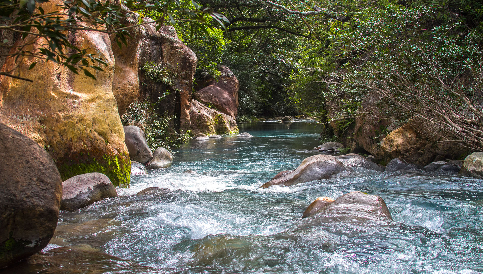 Rincon de la Vieja National Park in Guanacaste, Costa Rica