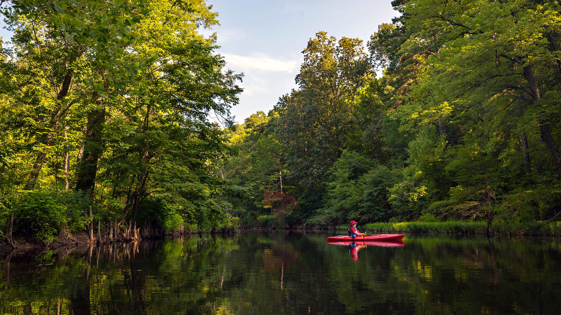 A person kayaks on a tree-lined river in Little Rock, Arkansas
