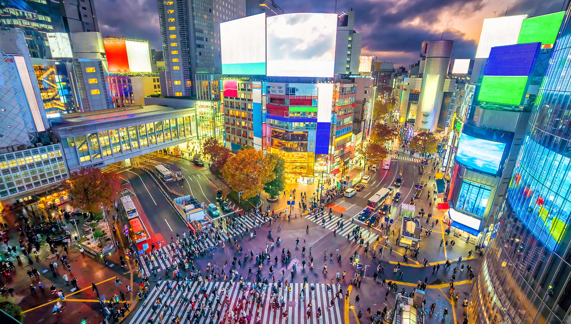 Aerial view of people crossing the street at the iconic Shibuya Scramble Crossing in Tokyo, Japan