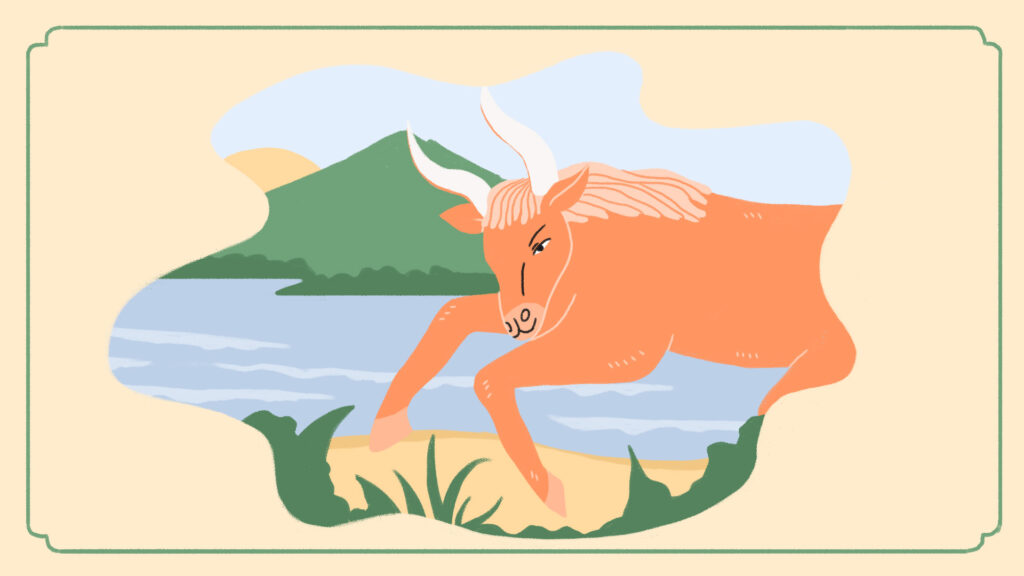 Illustration of Taurus zodiac sign