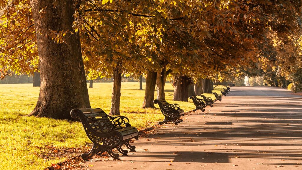 a london park in autumn